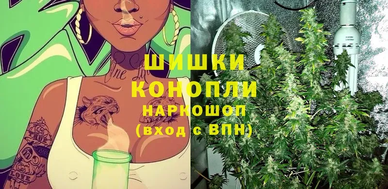 Каннабис SATIVA & INDICA  наркотики  гидра как войти  Дмитровск 